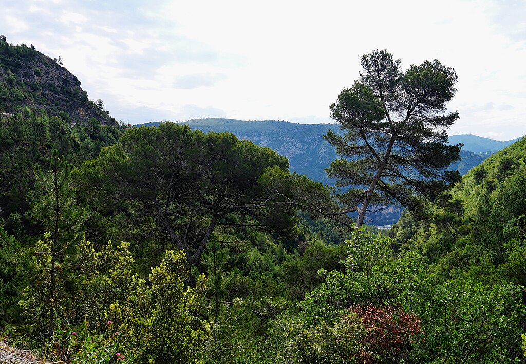 Piscine coque Alpes-Maritimes
