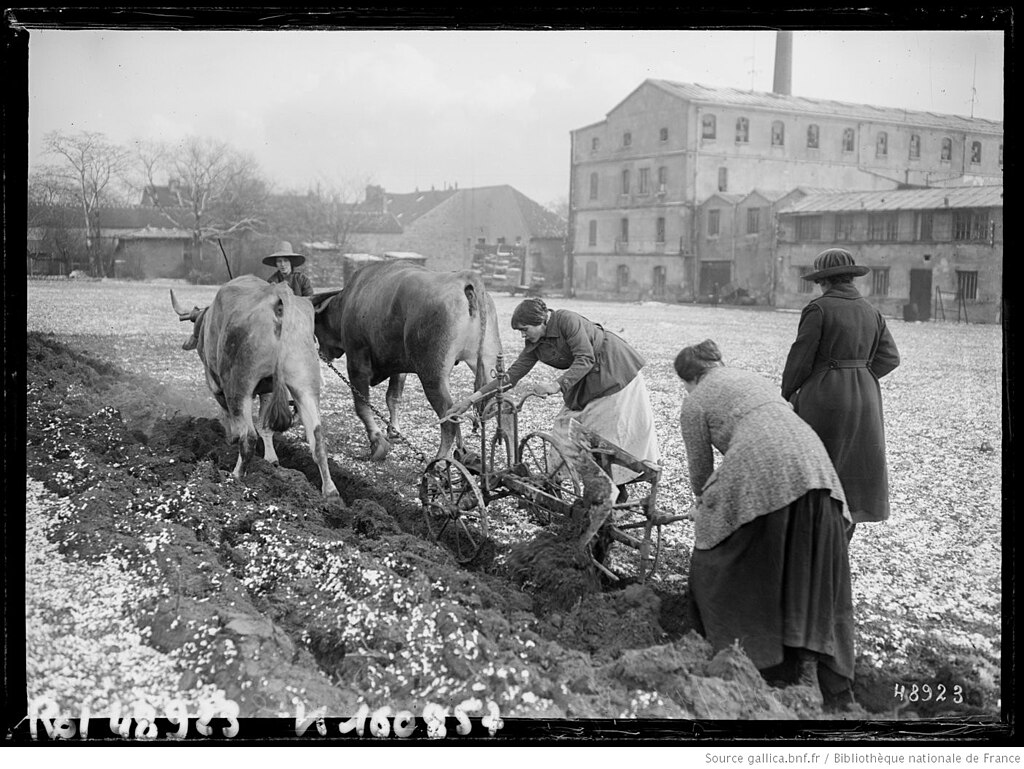 Piscine coque Val-de-Marne