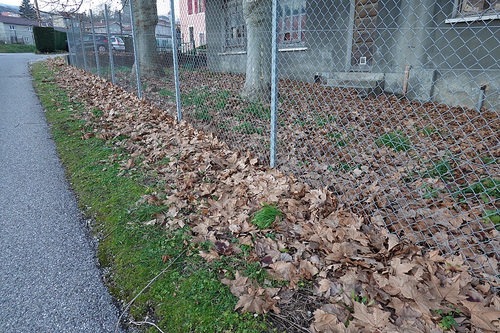 Piscine coque Bellegarde-sur-Valserine