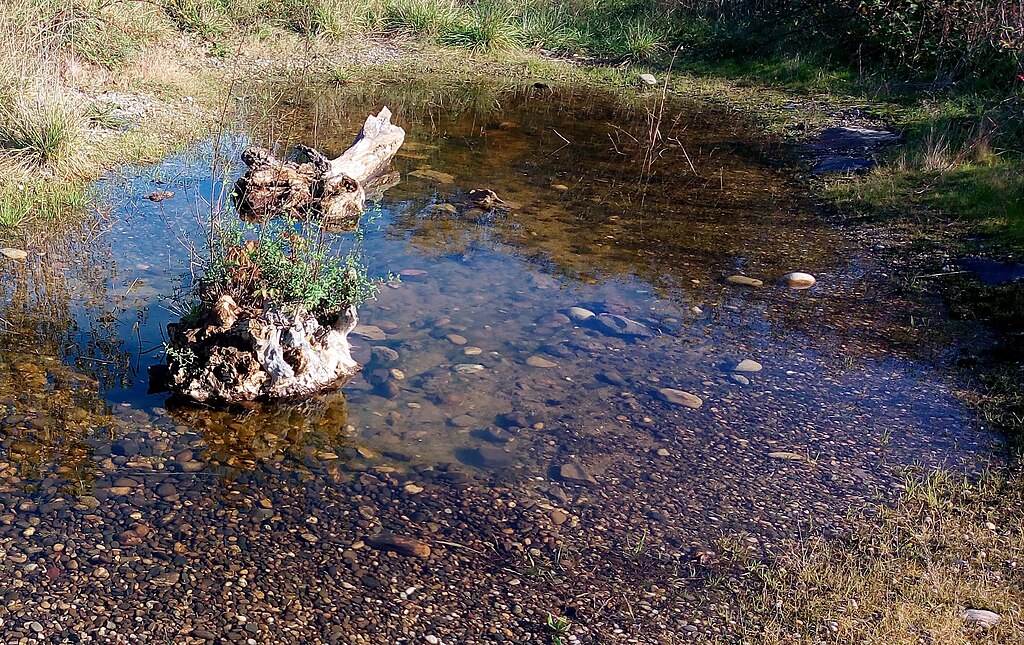 Piscine coque Wittenheim