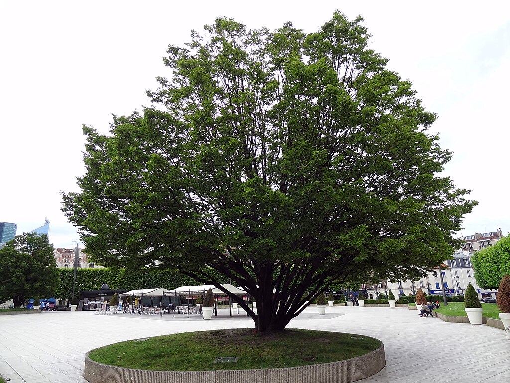 Piscine coque Puteaux