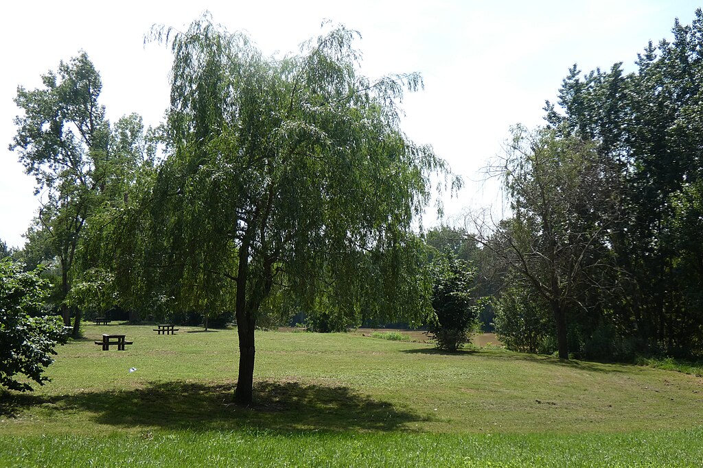 Piscine coque Marmande