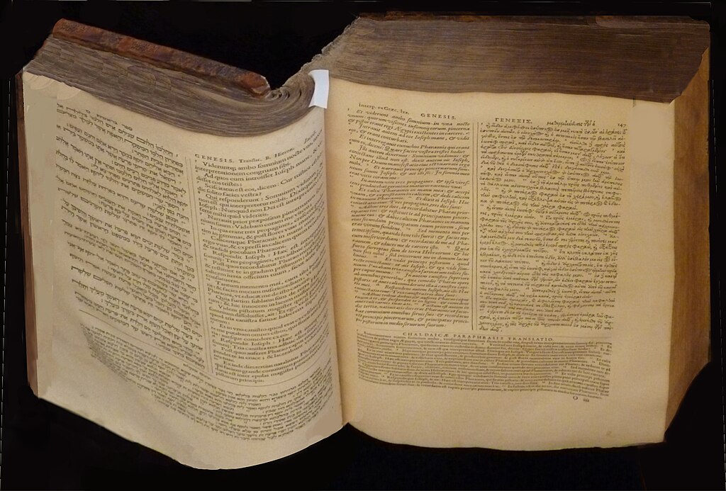 Piscine coque Valenciennes