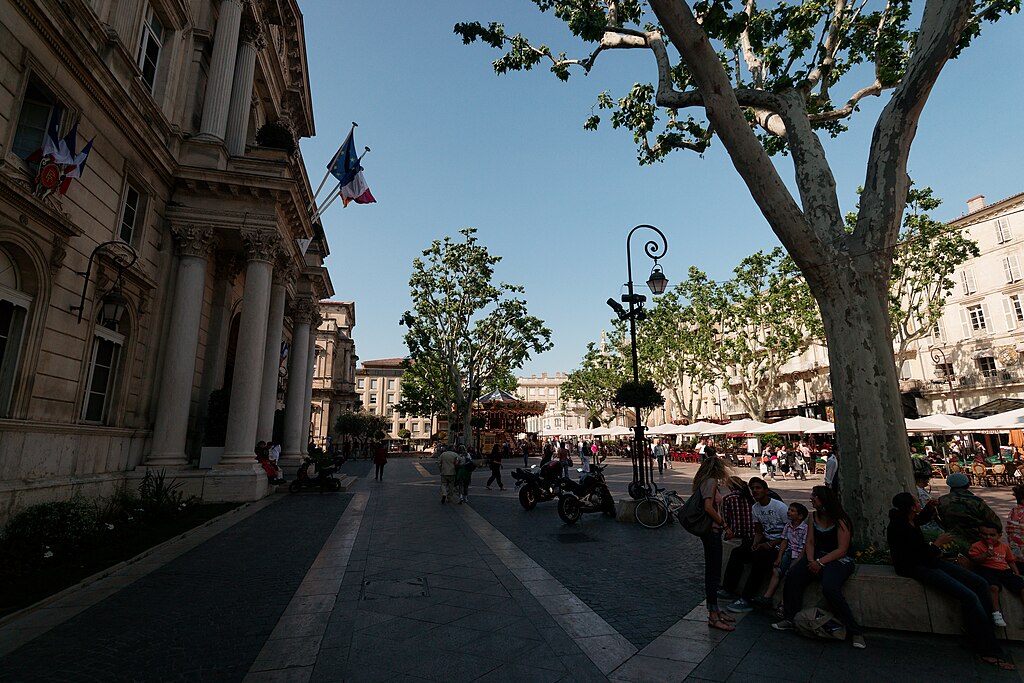 Piscine coque Avignon